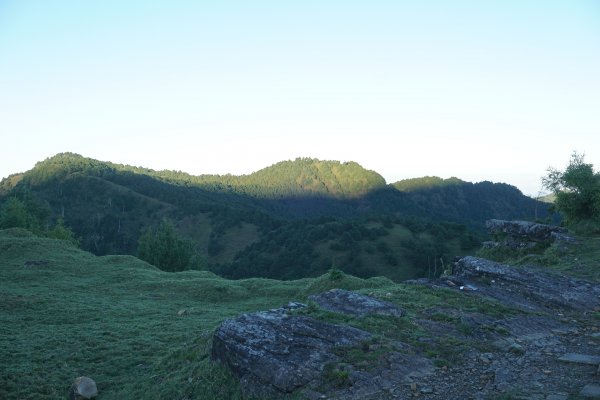 被取消的玉山前五峰 麟趾鹿林散散步740771