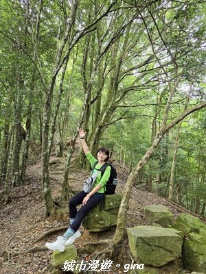 【台中和平】橫嶺山自然步道_木馬古道3095017