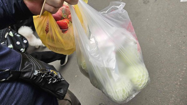 20260308內灣三山(內灣山-麥樹仁山南峰-麥樹仁山-舊砲台山-加那排山-白石湖山)3013434