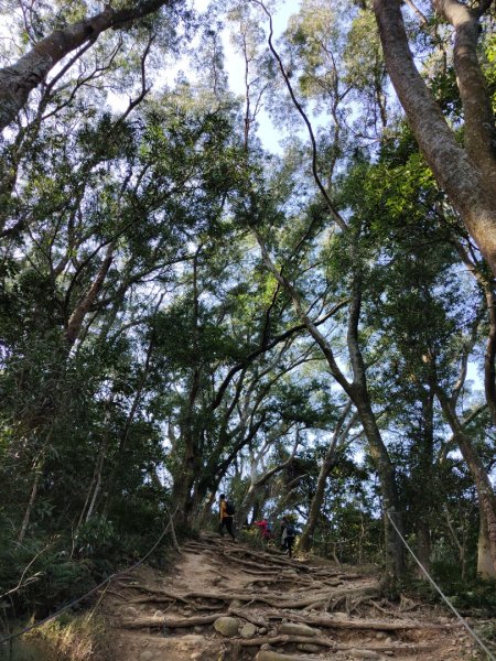 2024.01.02 飛鳳山2832143