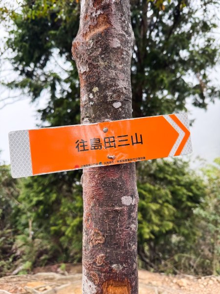 高島P型縱走-夢幻的杉林營地3012443