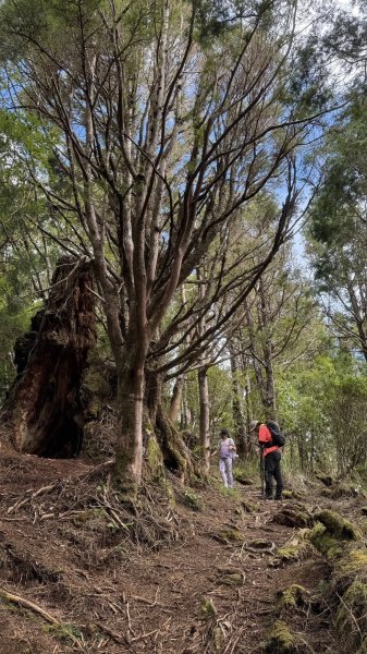 20250913小百岳三星山2885209