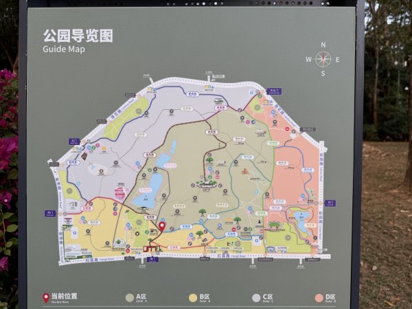 [茂名馬之行-12] 2026_0119 蓮花山公園2996934