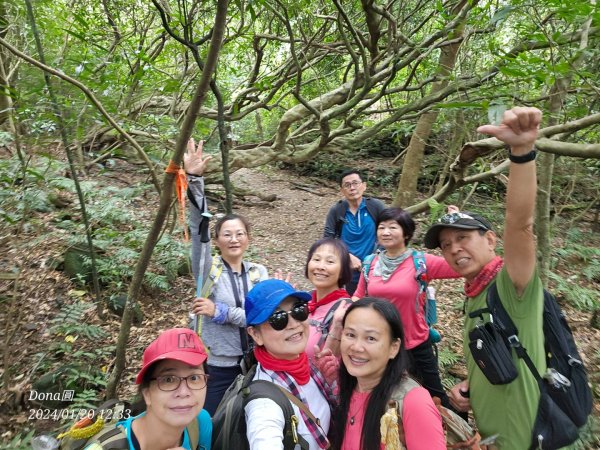 東勢大崙、東勢坑山、觀音湖山O走2986237