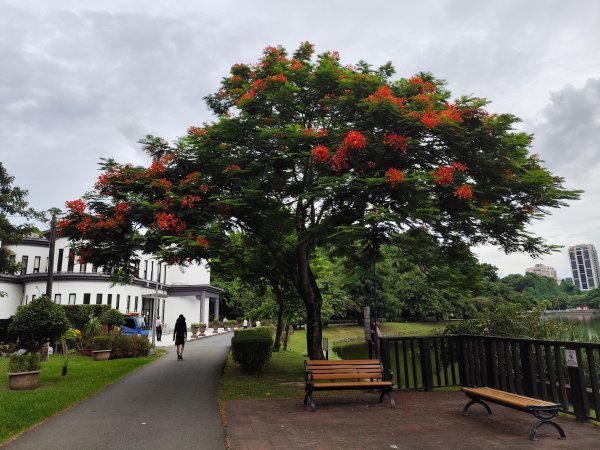 大稻埕、大港墘公園、瑞陽公園、碧湖公園步道【臺北健走趣】2874231