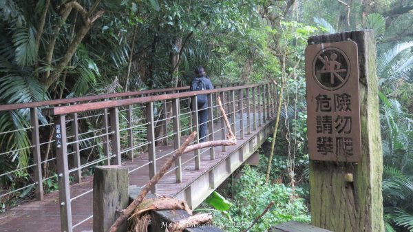 《苗栗》台鐵舊山線｜三義勝興鐵道覓境及挑柴古道O繞202501192693546