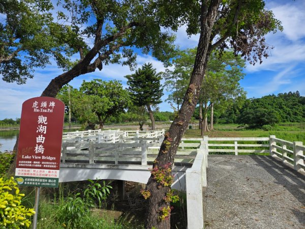 虎頭埤環湖步道（新化虎頭山）2890938