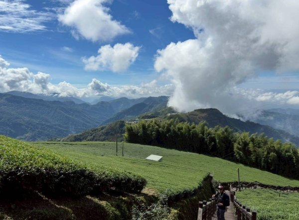 20251029石棹茶、霧、雲、霞、櫻、愛之道 樂野山 霹靂山2926606