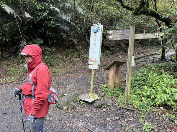 新北市 雙溪區 燦光寮古道-草山戰備道-貂山古道環形2044269