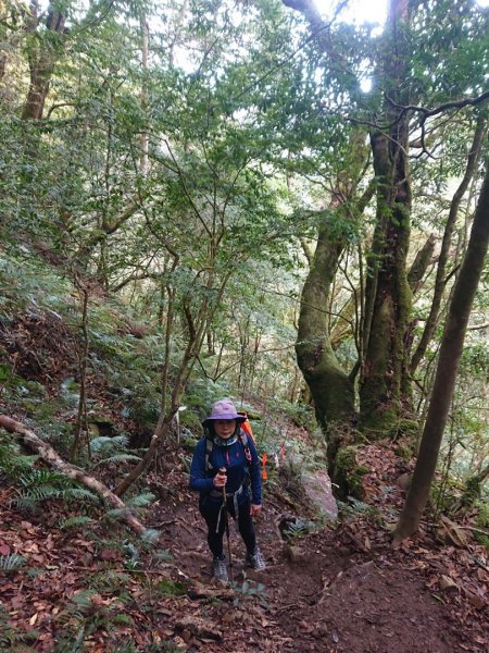 霞喀羅大山（石鹿大山）、白石駐在所1577062