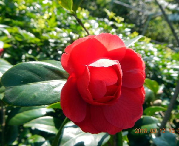 土城天上山五城山將軍嶺綠野香坡社區285778