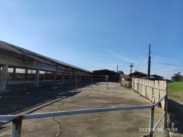 大甲區鐵砧山登山步道(日光牧場)1038983