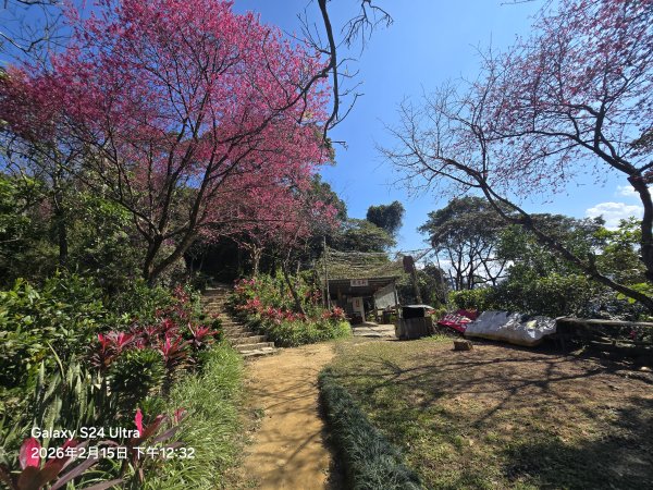 2026-02-15微笑山線：【天上山系】烘爐地土地公段