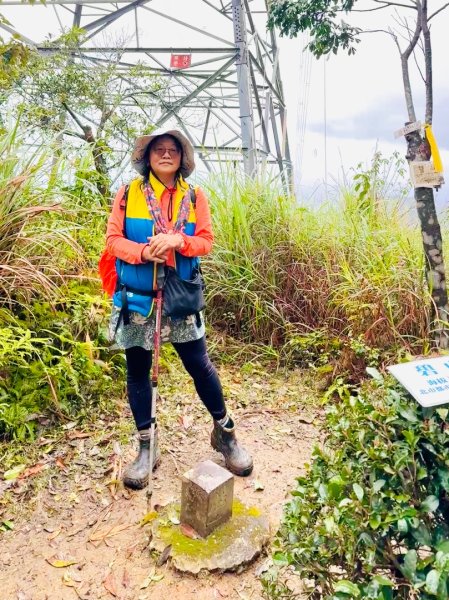 台北縱走第四段訪雙溪山 梅花山與西峰南峰西南峰 碧山3012794