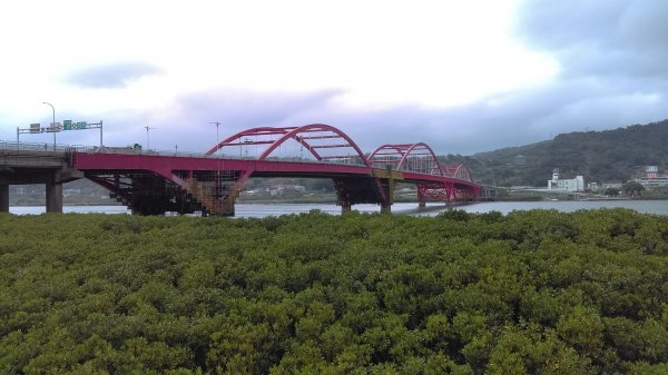 春光爛漫的淡水河左岸855998