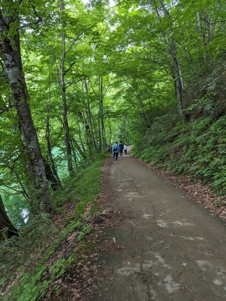 2023-06-14 十二湖（日本）2793202