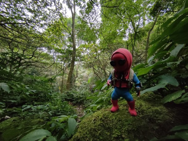 2023.12.27 大溪金面山