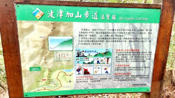 谷關七雄波津加山，太平蝙蝠洞延伸步道，花蓮美崙山步道，台東鯉魚山2004992