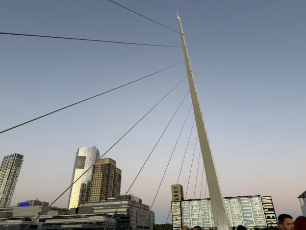 [紐約馬之行-64] 2025_1114 女人橋2954474