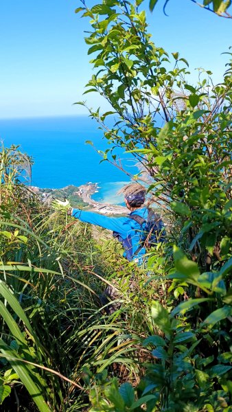 找一個晴天去爬山~金瓜石芒花之旅2962423