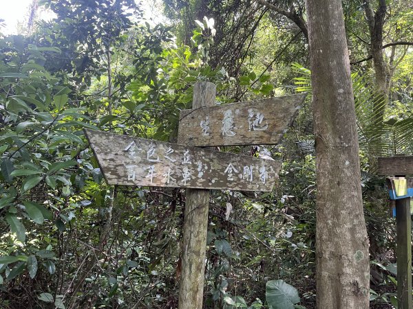 [皮皮獅Hike客任務-09/10] 2024_0831 南埔村觀音步道+挑水壢古道2586325