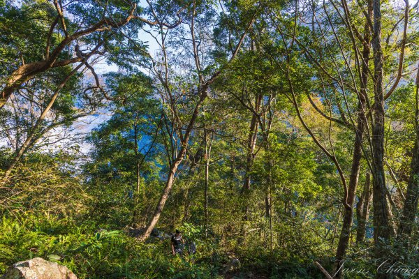 谷關七雄_八仙山2679607