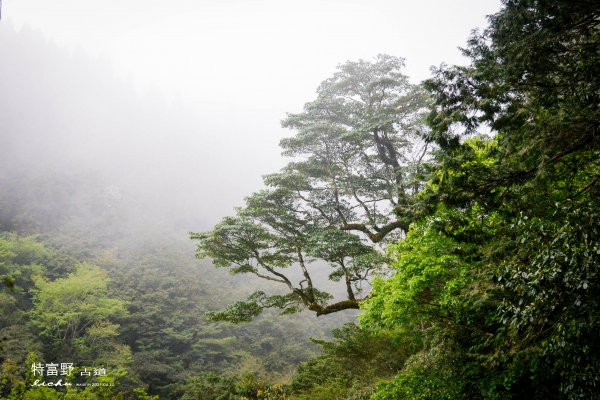 特富野古道1407545