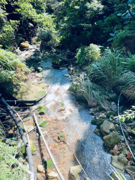 20261009 菁苗步道（苗圃登山口-菁山自然中心-前山公園）3133906
