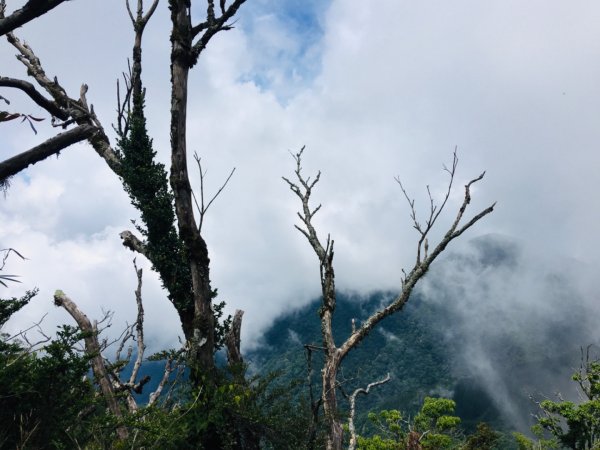 1090704加里山1026193