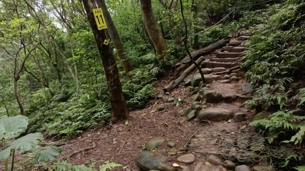 楊梅區龜山頭山-福人步道-莊迷湖-保甲路古道-東森山林森林步道-福人步道3074667