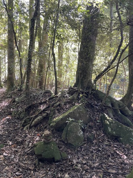 加里山隘勇線2913113