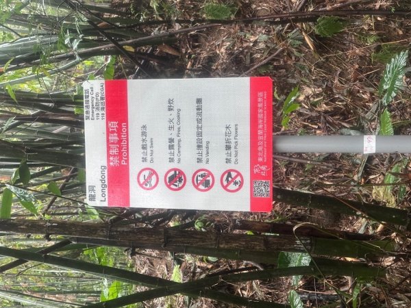 2024草嶺古道芒花季草嶺古道2644788