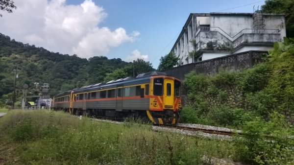 平溪區碩仁里-幼坑古道-幼坑山-幼坑山南鞍-大平林山-番子坑生態園區-番子坑3086144
