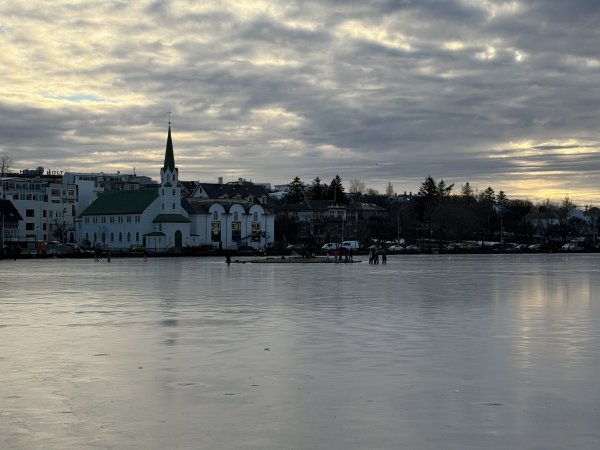 [紐約馬之行-21] 2025_1104 托寧湖(Tjörnin)2946339