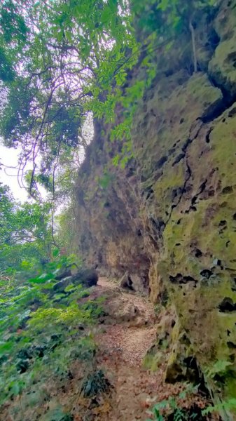 北柴山秘境之旅2754400