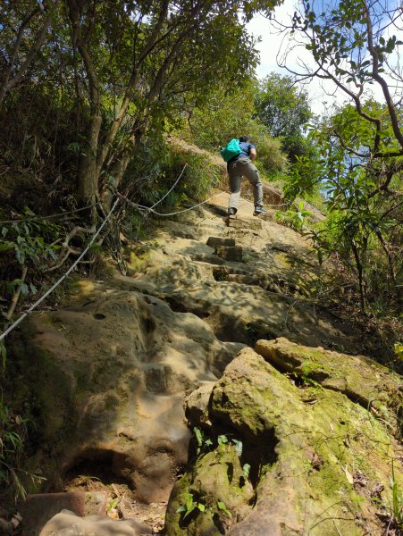 2022.03.20－臺北大縱走第六段1647612