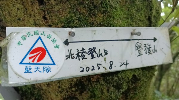 雙溪區豎旗山北稜線-豎旗山-豎旗山南峰-烏山尖-鄒家古厝-保成坑口站O型3071246