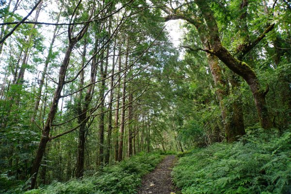 宜蘭 大同 加羅山2890255