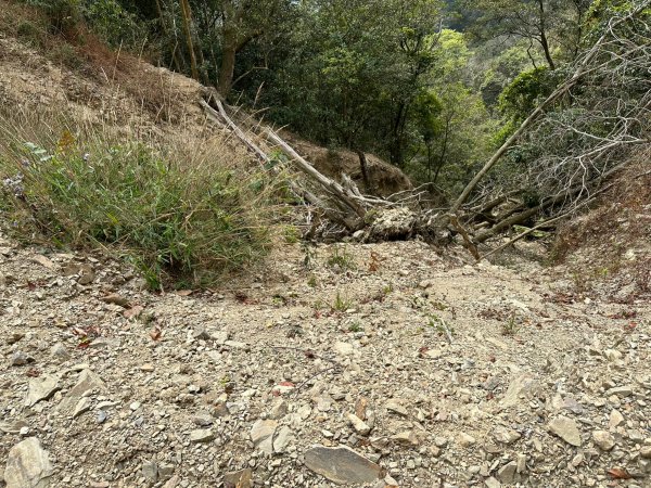 網子山、網子山東北峰、鳴海下山、鳴海山連走2040647