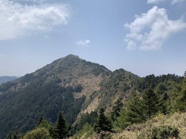 【百岳】大、中、小霸尖山、伊澤、加利、耶巴奧，68公里的長征2120846