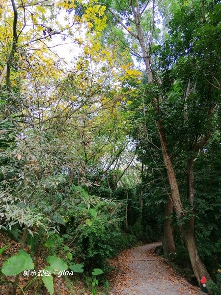 嘉義東區~林蔭步道森林浴~蘭潭後山步道1283910