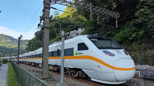 柴寮古道、中坑古道2814645