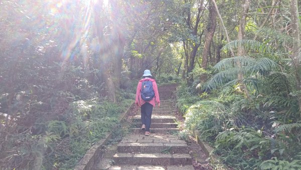 (姨婆趴趴走)第五十五集:攀登健走台北大崙頭尾山親山步道環狀一圈2853713