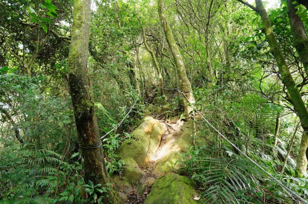 臺北 二格山、南邦寮山、阿柔洋山2570414