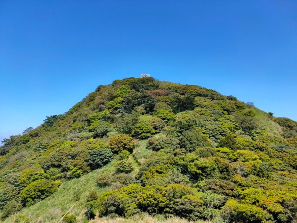 大屯山泥巴滑溜溜914403