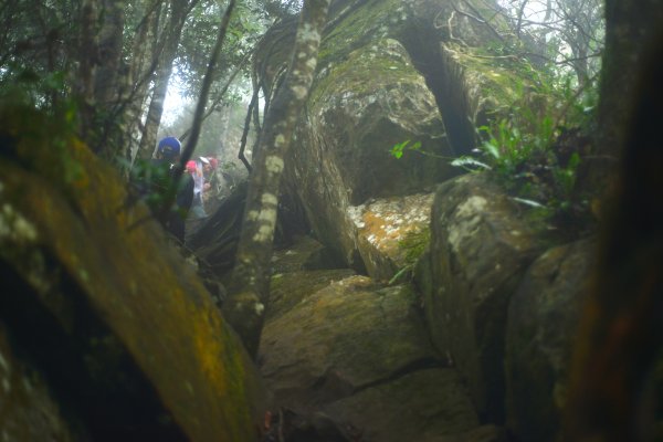 向天湖山步道 (大 O：含三角湖山、光天高山)2664941