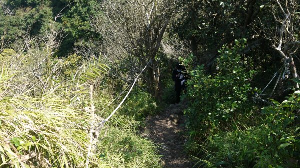 觀音山登山健行趣(小百岳05號)1632419