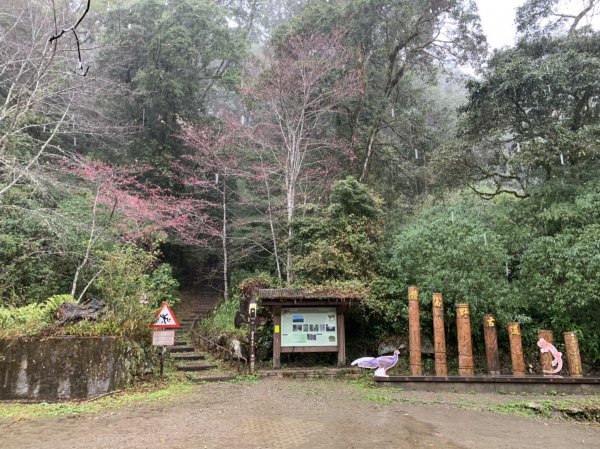 特富野古道798002