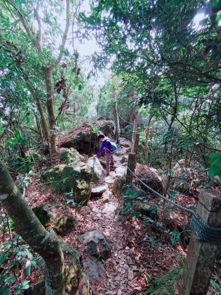 1090222第十八走之二訪龍麟山步道845597