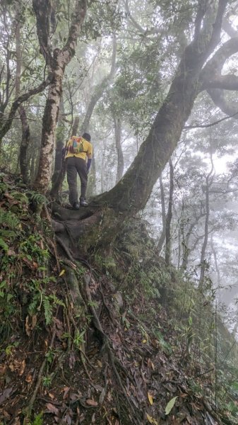 113.06.01魯壁山-東穗山之旅2529887